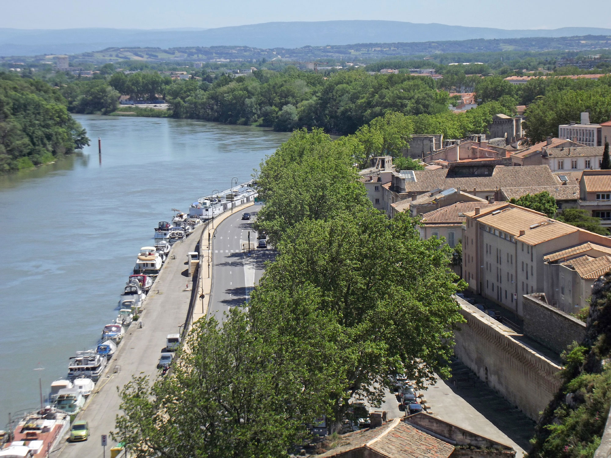 Avignon